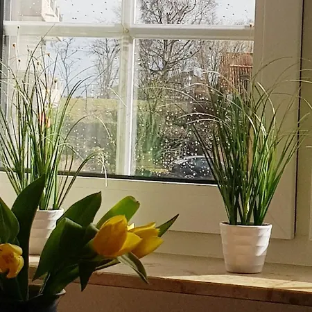 Apartment Fienchen - Helle, Komfortable Zum Wohlfuehlen Mit Kurzem Weg Zu Und Promenade